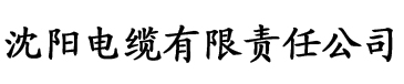 奇米av资源电缆厂logo